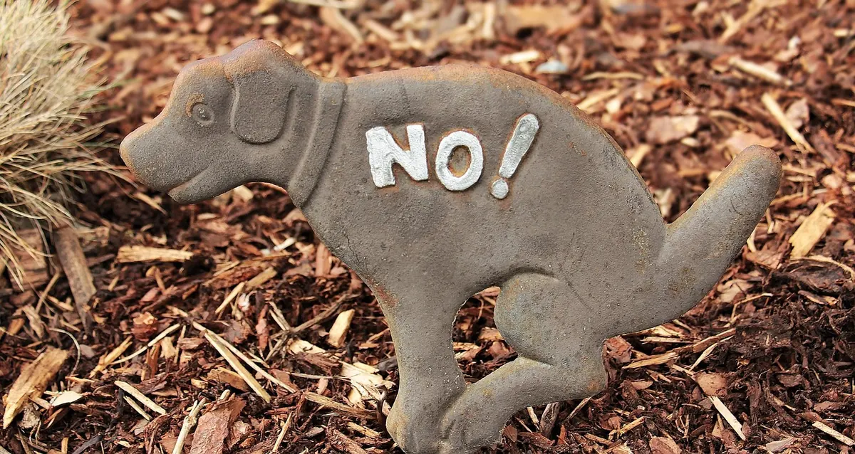No-Dig Gardening for Beginners: Starting a Small UK Bed Without Digging