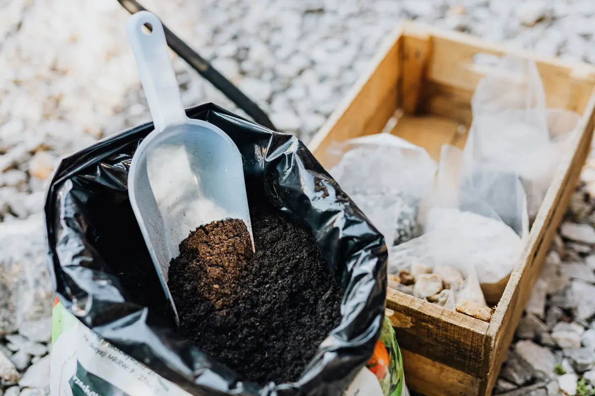 Peat-Free Compost Compared: Which Mix Suits Containers, Seed Sowing and Border Planting?